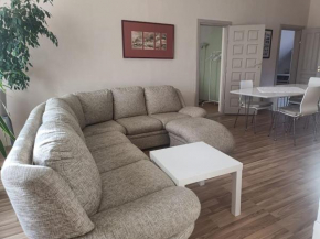 Spacious Apartment Panemune
